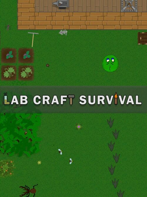 Cover for Lab Craft Survival.