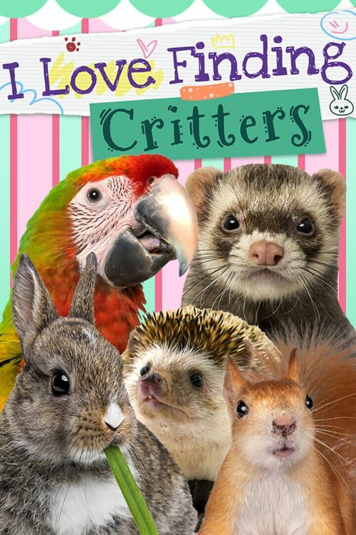 Cover for I Love Finding Critters.