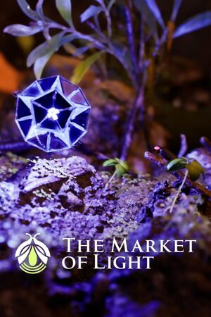 Cover for The Market of Light.