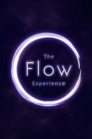 Cover for The Flow Experience.