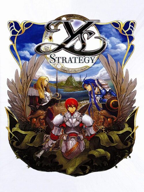 Cover for Ys Strategy.