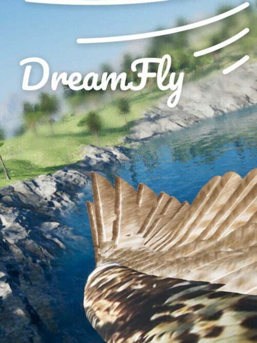 Cover for DreamFly.