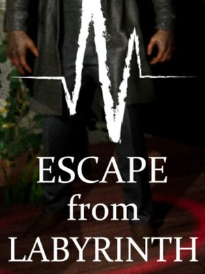 Cover for Escape from Labyrinth.