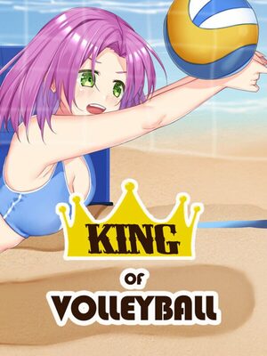 Cover for King of Volleyball.