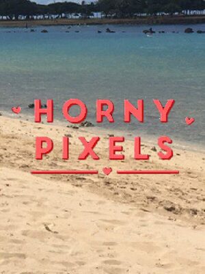 Cover for Horny Pixels.