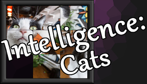 Cover for Intelligence: Cats.