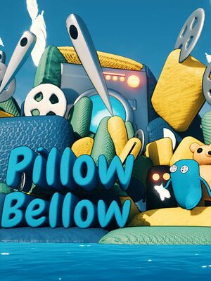 Cover for Pillow Bellow.