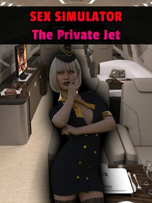 Cover for Sex Simulator - The Private Jet.