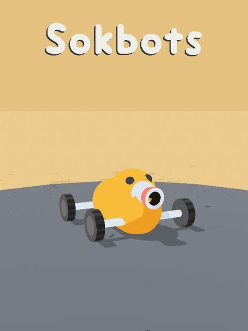 Cover for Sokbots.