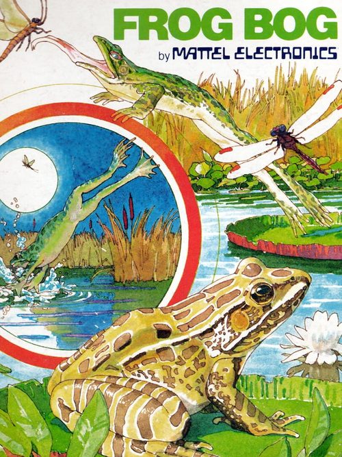 Cover for Frogs and Flies.