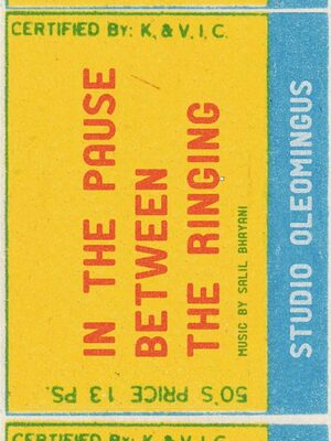 Cover for In the Pause Between the Ringing.