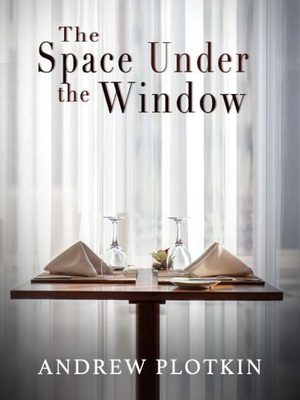 Cover for The Space Under the Window.