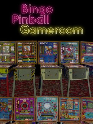 Cover for Bingo Pinball Gameroom.