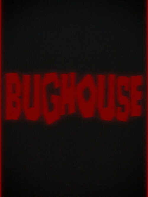 Cover for Bughouse.