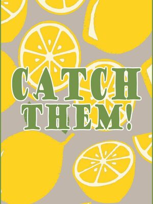 Cover for Catch them!.