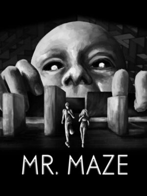 Cover for Mr. Maze.