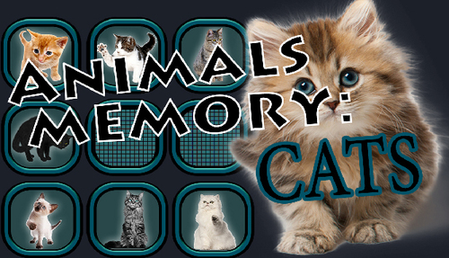Cover for Animals Memory: Cats.
