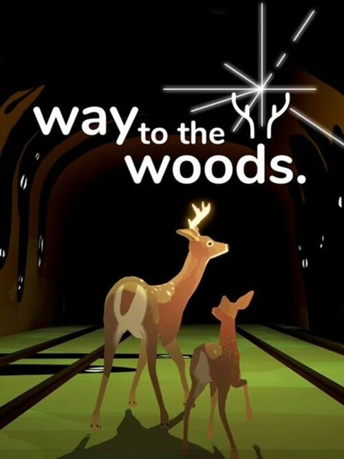 Cover for Way to the Woods.