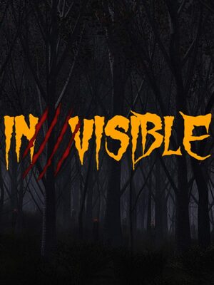 Cover for Invisible.