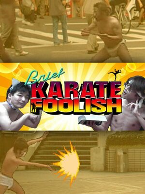 Cover for Brief Karate Foolish.
