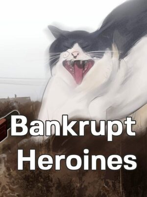 Cover for Bankrupt Heroines.