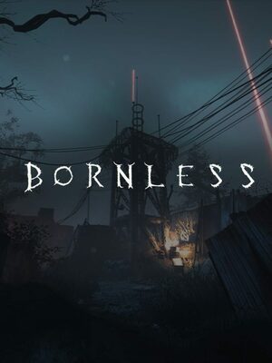 Cover for The Bornless.