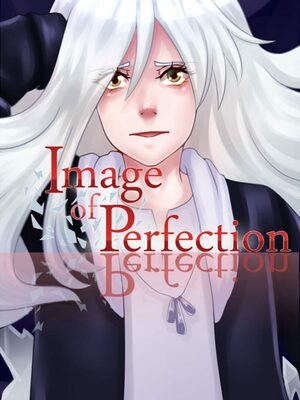 Cover for Image of Perfection.