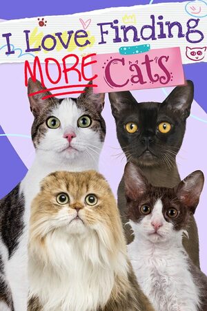 Cover for I Love Finding MORE Cats.