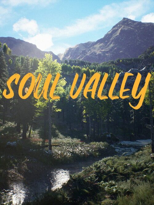 Cover for Soul Valley.