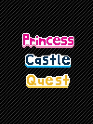 Cover for Princess Castle Quest.
