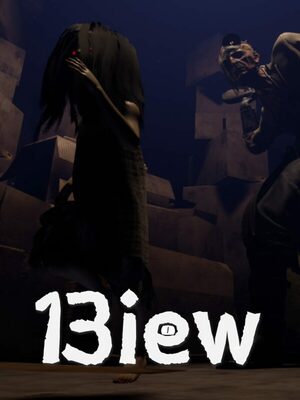 Cover for 13iew.
