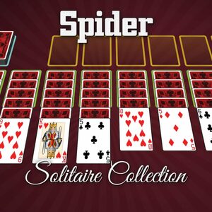 Cover for Spider Solitaire Collection.