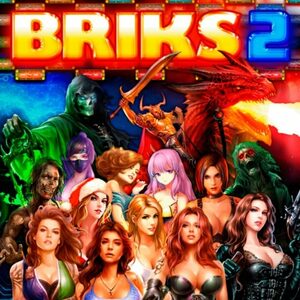 Cover for BRIKS 2.
