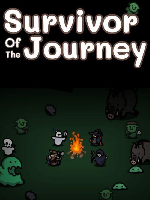 Cover for Survivor Of The Journey.