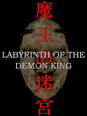 Cover for Labyrinth Of The Demon King.