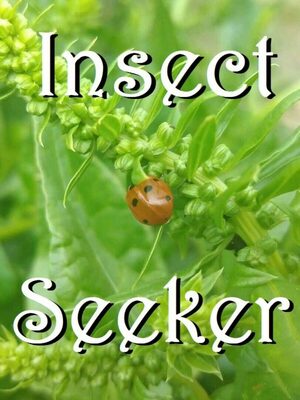 Cover for Insect Seeker.