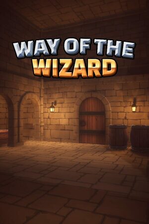 Cover for Way of the Wizard.