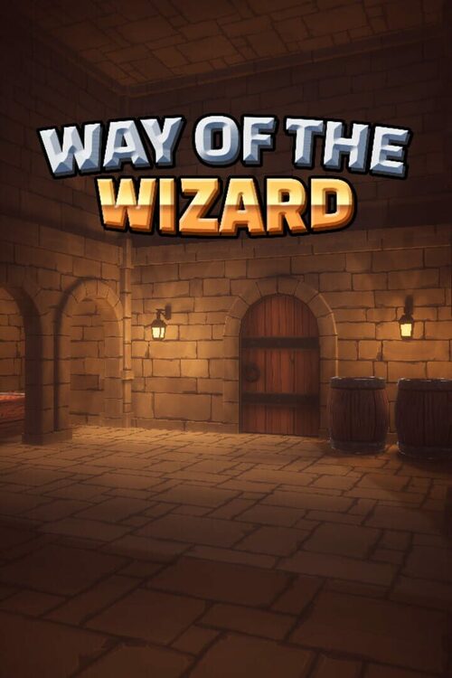 Cover for Way of the Wizard.