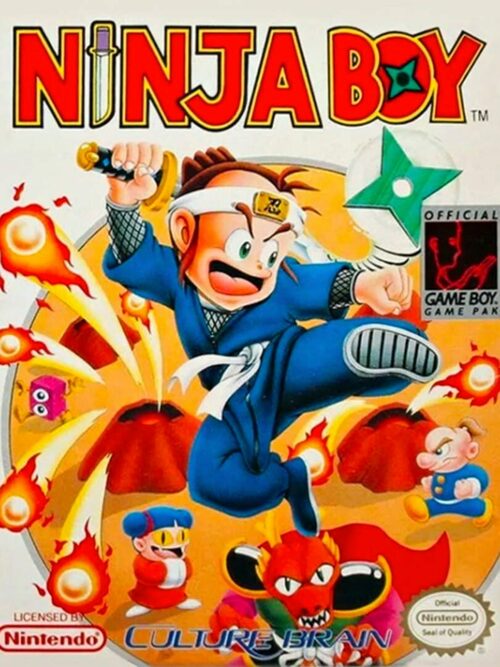 Cover for Ninja Boy.