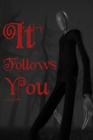Cover for It follows you.