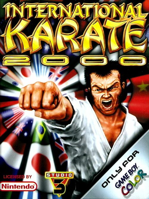 Cover for International Karate 2000.