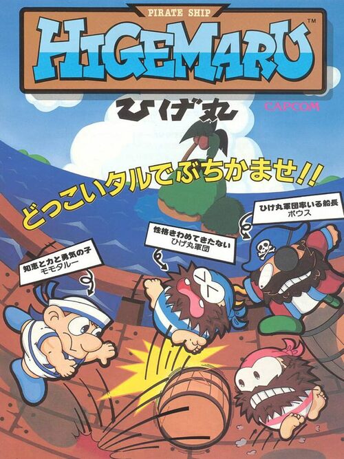 Cover for Pirate Ship Higemaru.