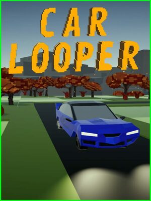 Cover for Car Looper.