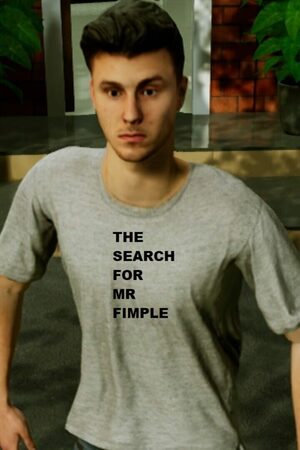 Cover for The Search for MR Fimple.
