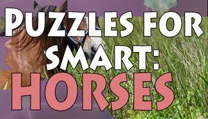 Cover for Puzzles for smart: Horses.