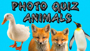 Cover for Photo Quiz - Animals.