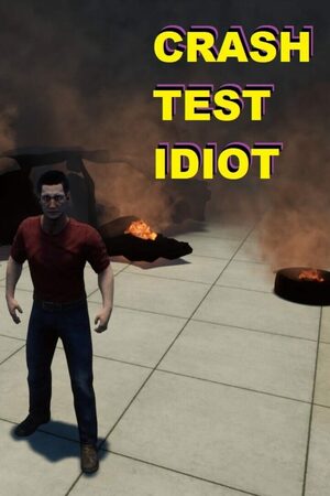 Cover for CRASH TEST IDIOT.