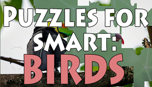 Cover for Puzzles for smart: Birds.