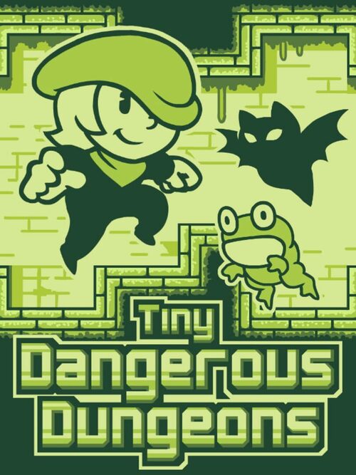 Cover for Tiny Dangerous Dungeons.