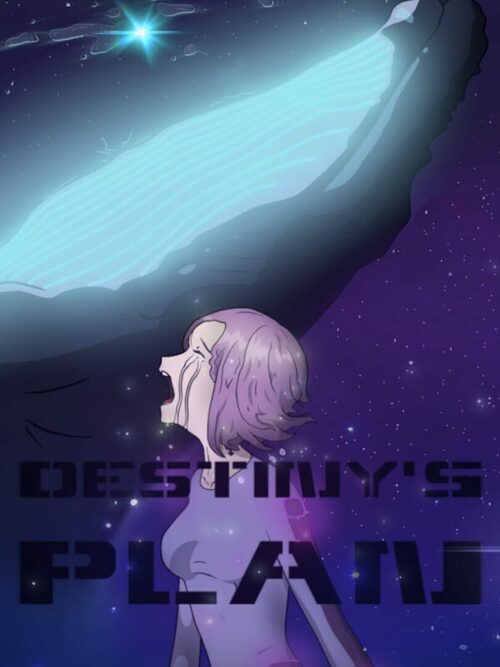 Cover for Destiny’s Plan.